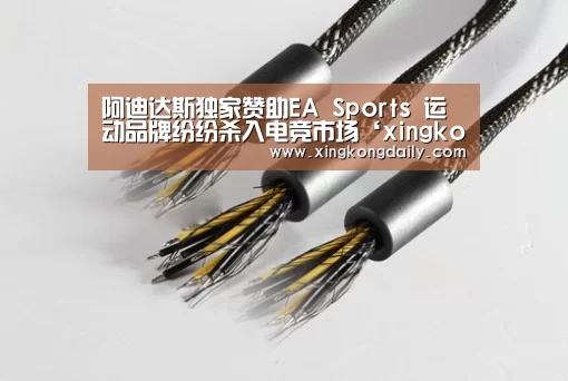 
阿迪达斯独家赞助EA Sports 运动品牌纷纷杀入电竞市场‘xingkongyule’(图2)