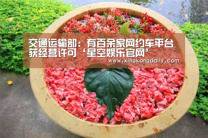星空体育娱乐