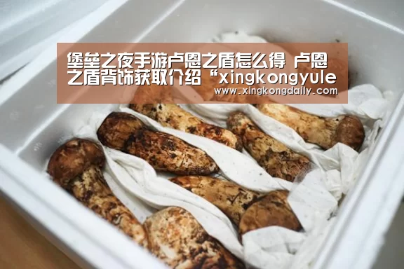 星空体育娱乐