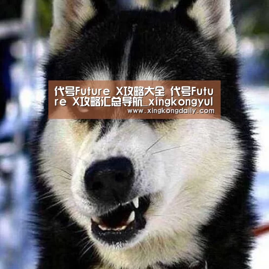 代号Future X攻略大全 代号Future X攻略汇总导航_xingkongyule(图1) 星空娱乐官网
