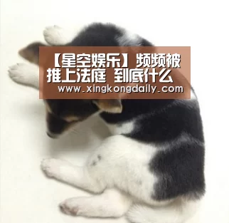 【星空娱乐】频频被推上法庭 到底什么算自动驾驶侵权?(图2) 星空体育娱乐