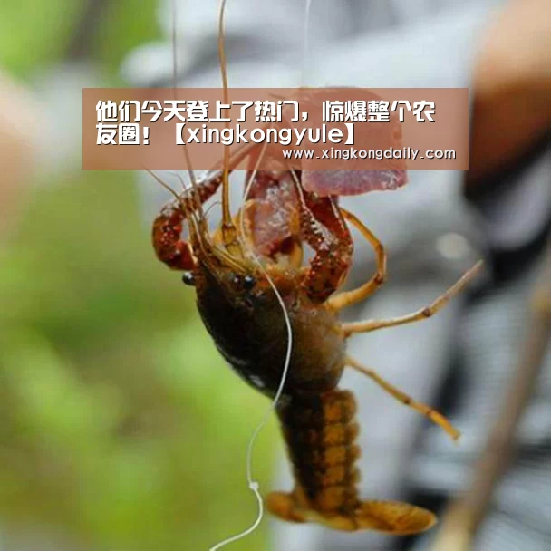 星空体育娱乐