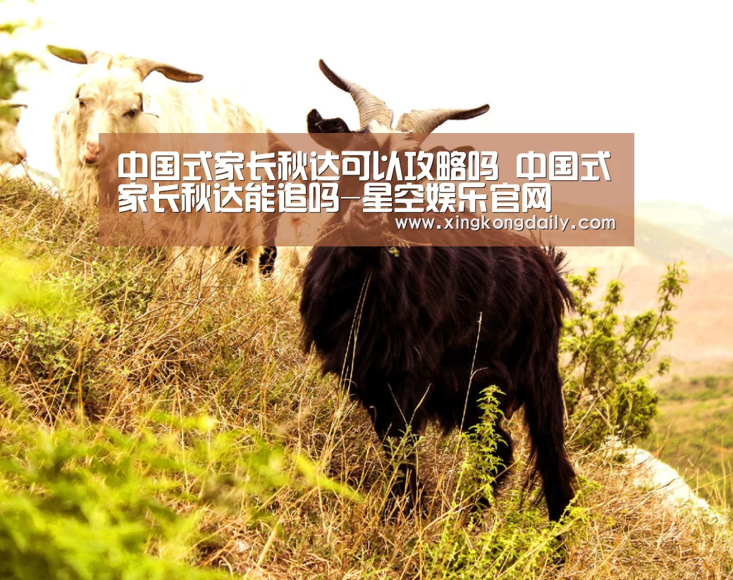 中国式家长秋达可以攻略吗 中国式家长秋达能追吗-星空娱乐官网(图3)
