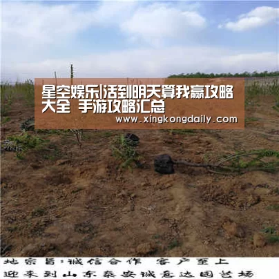 星空娱乐|活到明天算我赢攻略大全 手游攻略汇总(图4) 星空娱乐|活到明天算我赢攻略大全 手游攻略汇总(图4)